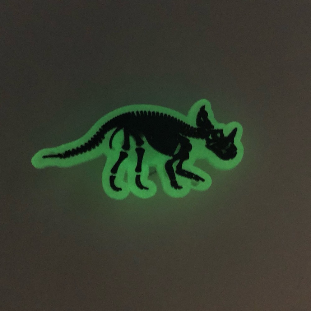 20/$13 Luminous Dinosaur Shoes Charm